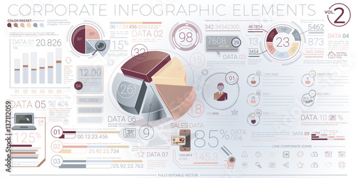 Colorful Corporate Infographic Elements