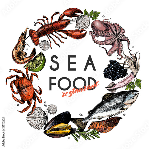 Vector hand drawn seafood banner.colored Lobster, salmon, crab, shrimp, ocotpus, squid, clams.