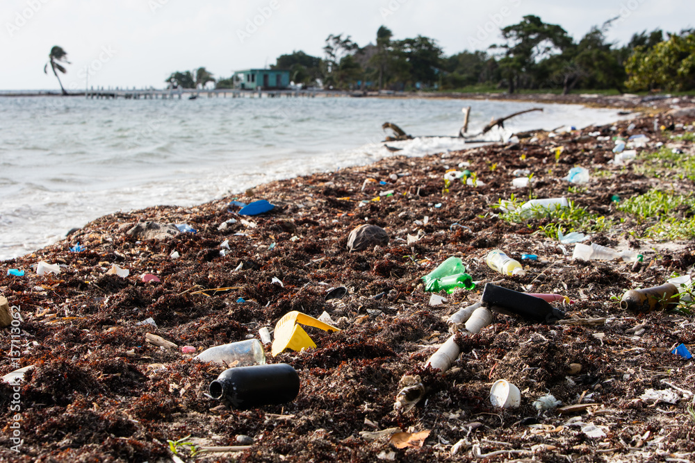 Plastics and Other Garbage on Caribbean Beach Stock Photo Adobe Stock