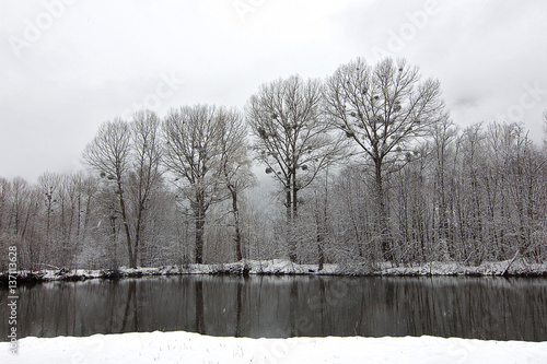 Winter scene with river and forest background