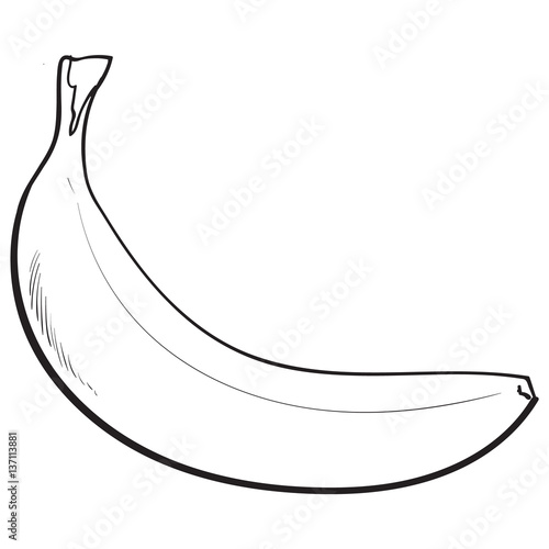 black and white unopened, unpeeled ripe banana, sketch style vector illustration isolated on white background. Realistic hand drawing of single unopened ripe banana