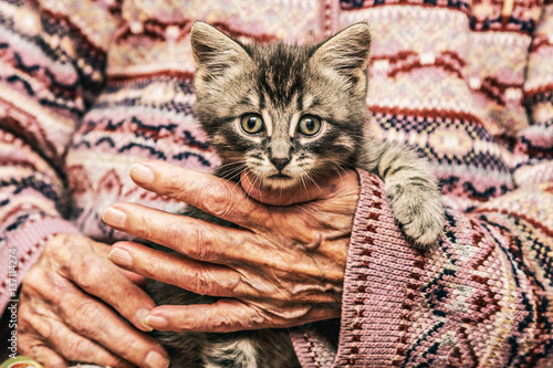 Loving old woman holding a kitten.