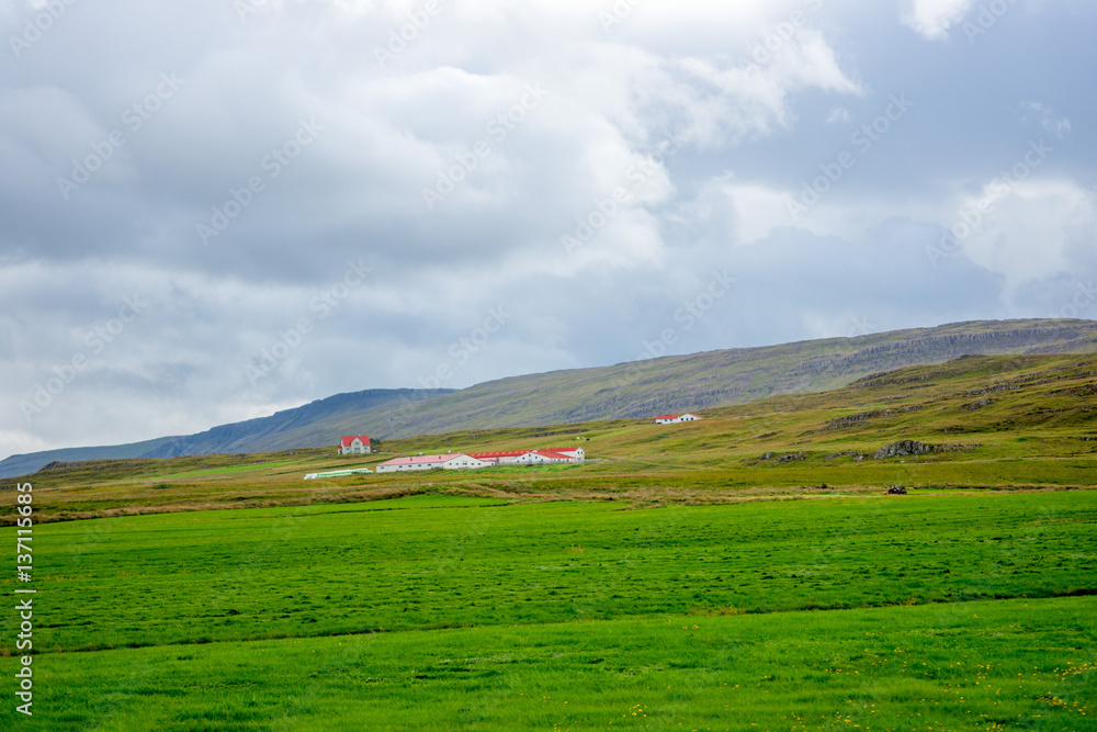 Iceland road view