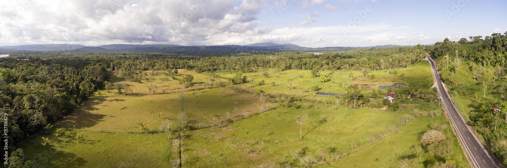 Aerial panorama of a cattle farm cleared from lowland tropical rainforest in Ecuador.