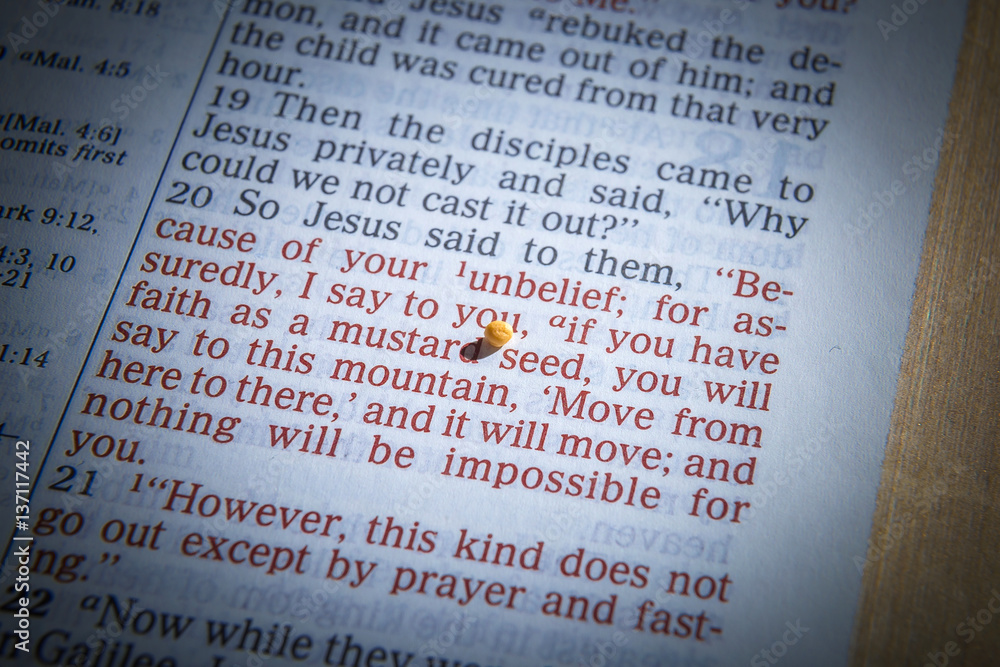 Fototapeta premium Mustard seeds on a open Bible page illustrating the verse - if you have faith as small as a mustard seed- Matthew 17:20