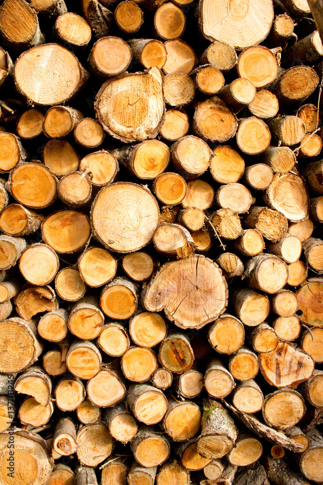 Feuerholz im Hochformat - Eichen und Buchenstämme Feuerholz im Hochformat - Eichen und Buchenstämme