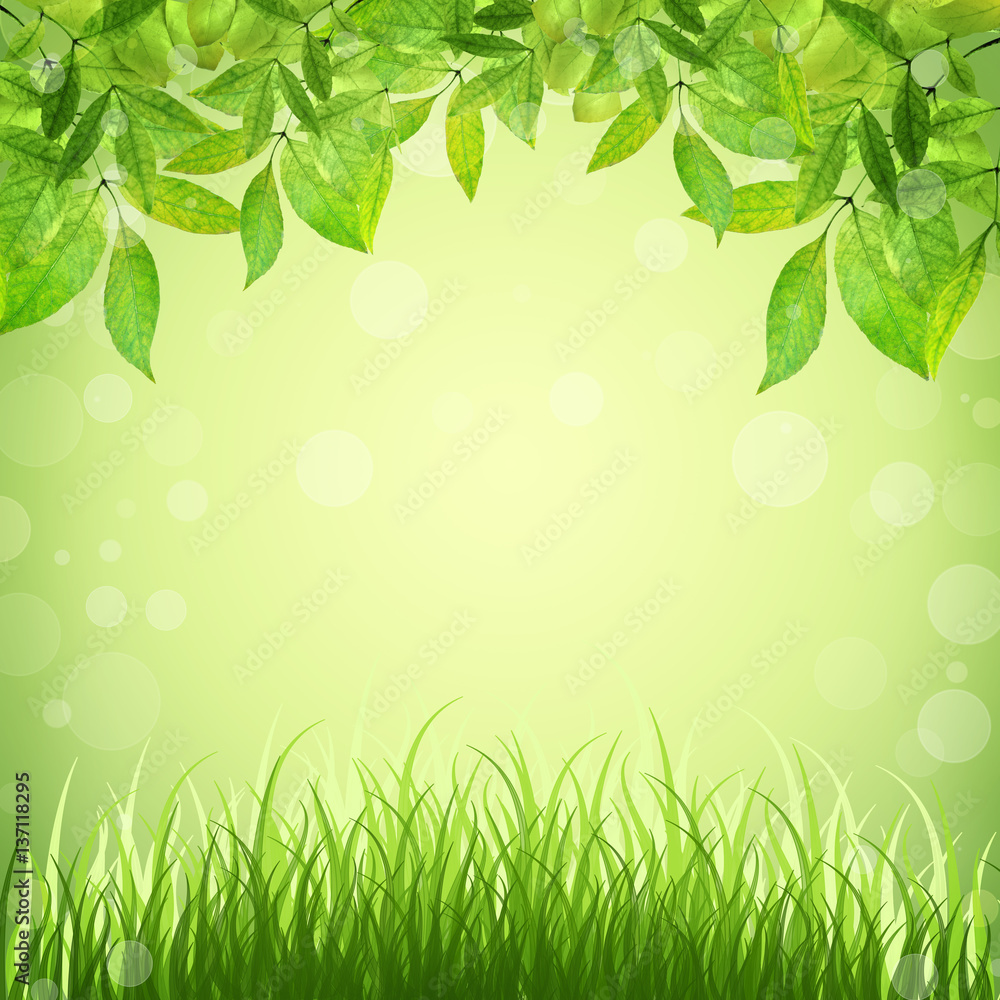 abstract nature background with grass and leaves. Spring. Summer. abstract nature background with grass and leaves. Spring. Summer.