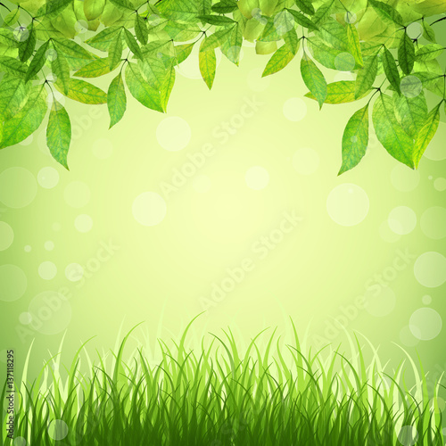 abstract nature background with grass and leaves. Spring. Summer.