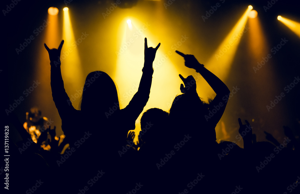 Silhouettes of people in a bright in the pop rock concert in front of ...