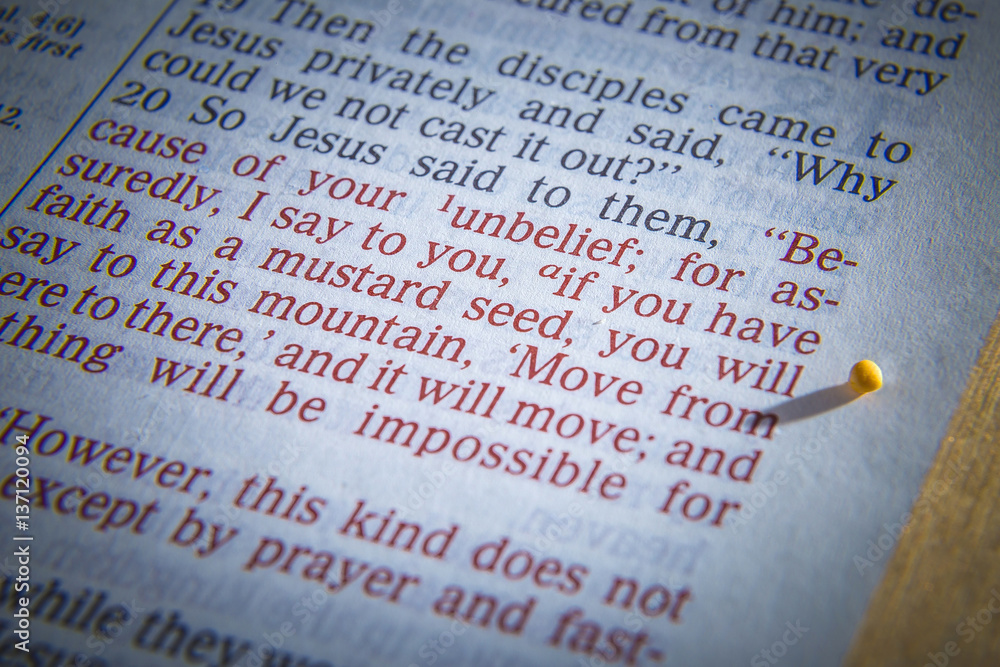 Fototapeta premium Mustard seeds on a open Bible page illustrating the verse - if you have faith as small as a mustard seed- Matthew 17:20