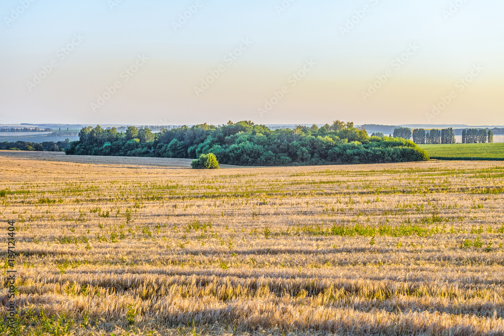 Sunny summer landscape plains of the central zone of Russia. Belgorod region.