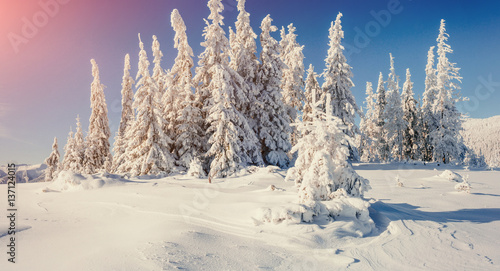 Fantastic winter landscape in the mountains of Ukraine. In antic