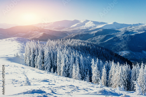 Fantastic winter landscape in the mountains of Ukraine