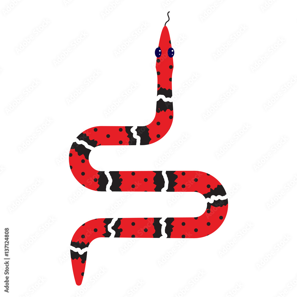Fototapeta premium Micrurus red snake cartoon vector illustration on white. Reptile desert animal.