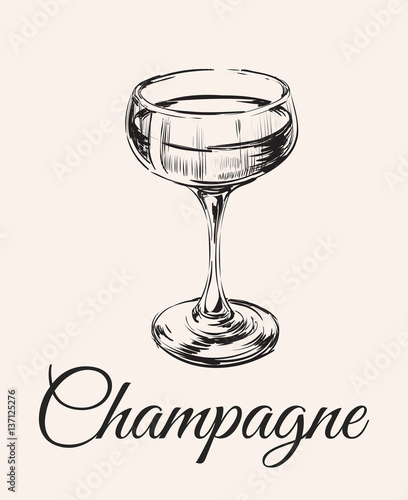 Champagne Glass Hand Drawing Vector Illustration . Alcoholic Drink. prosecco 