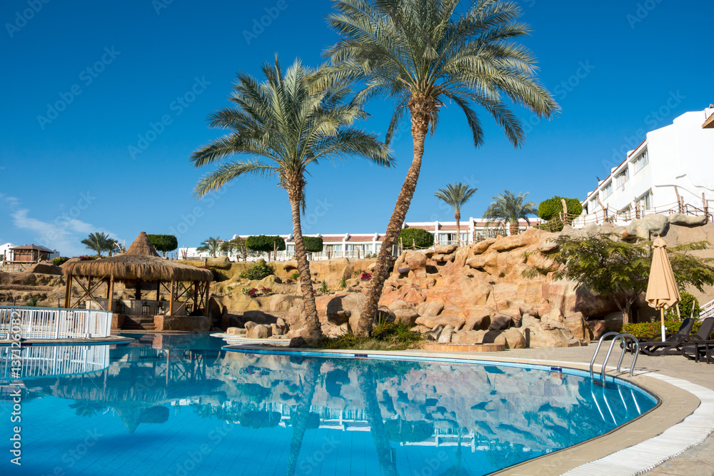 Fototapeta premium Palm trees and sun loungers by the pool