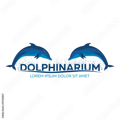 Dolphinarium. Dolphin logo. Banner. Vector flat illustration.