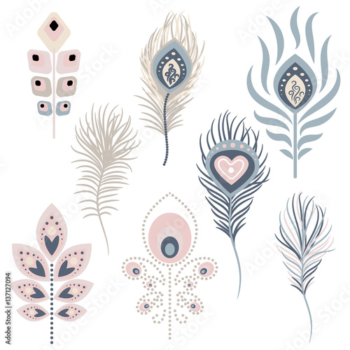 Peacock feathers vector illustration clipart. Pale pink and blue peafowl bird exotic hackles.