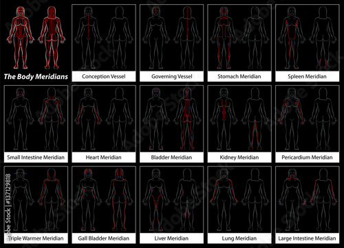 Body meridians of a woman - Detailed diagram with main acupuncture meridians, anterior and posterior view. Isolated vector illustration on black background.