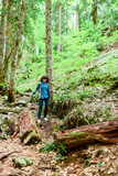Girl in hike. Traveler in mountain forest