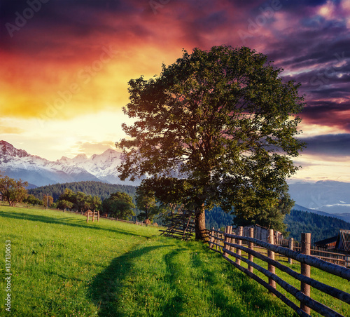 Wide Angle View of a Wooden Fence Under