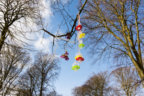 Colourful plastic pacifiers hanging in a tree photo