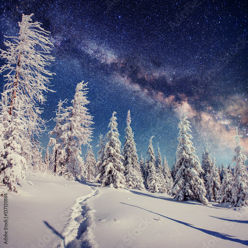 starry sky in winter snowy night. fantastic milky way