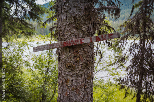 Foto Wooden Sign on Tree in Forest