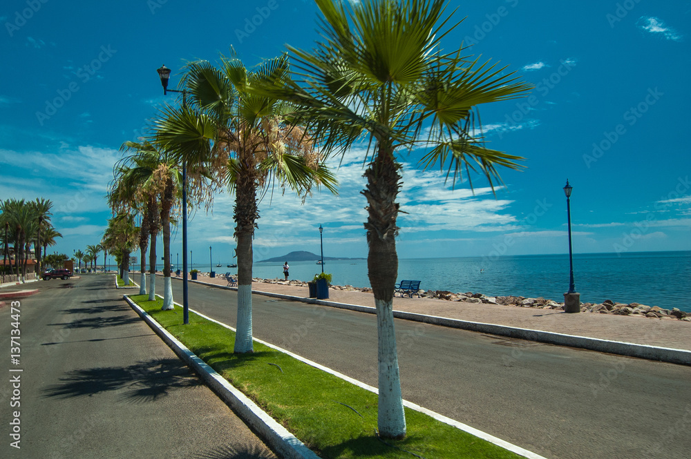 Palm lined malecon boulevard in Loreto Mexico on Sea of Cortez