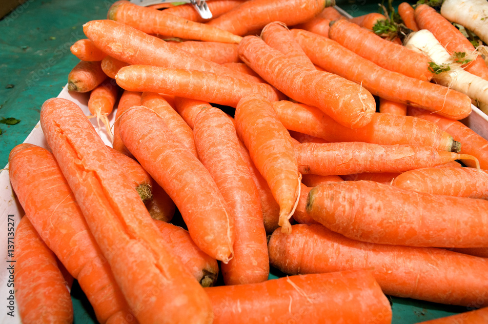 Dozens of carrot randomly piled up, Novi Sad, Serbia Dozens of carrot randomly piled up, Novi Sad, Serbia
