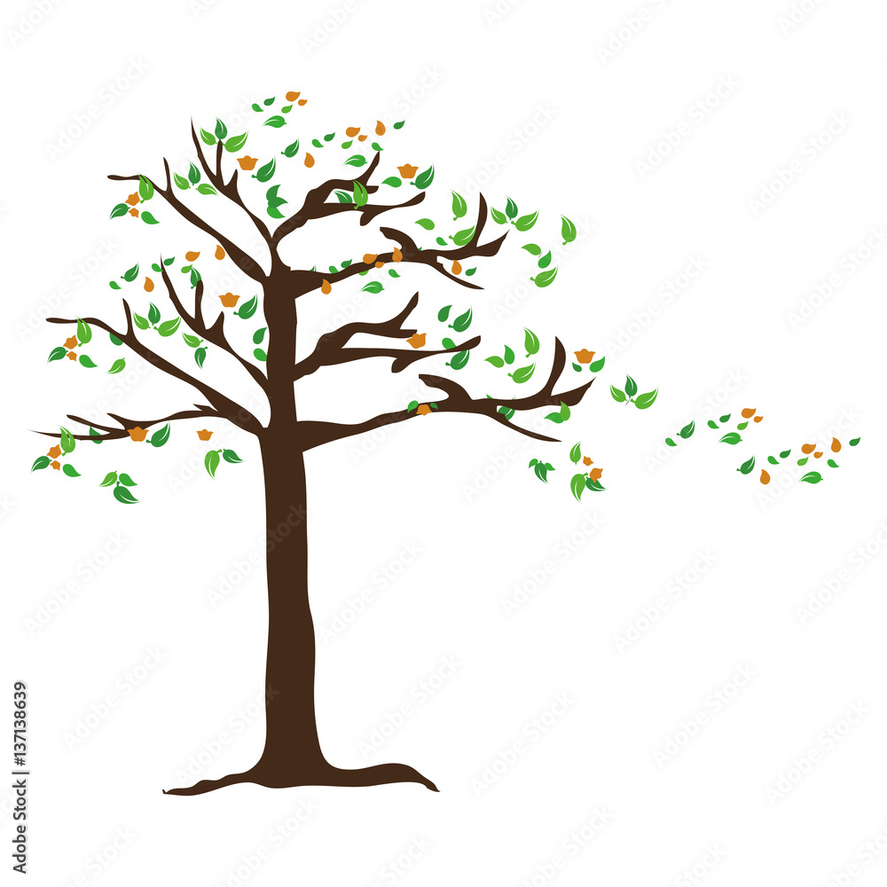 Fototapeta premium kolorowe drzewo liściaste roślin z liśćmi Spadające ilustracji wektorowych