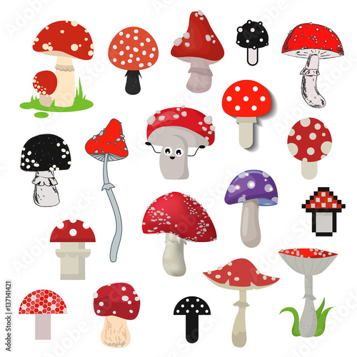 Cartoon different style of amanita mushrooms vector.