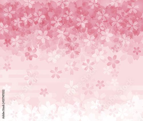 満開の夜桜 背景イラスト Stock ベクター Adobe Stock 満開の夜桜 背景イラスト Stock ベクター Adobe Stock