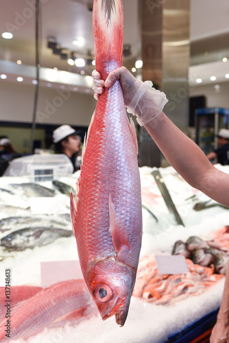 Ruby snapper at a fish market
