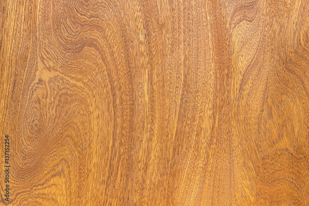 Fototapeta premium Wood texture background