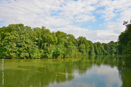 Green landscape with river and tree