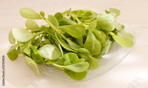 Green fresh juicy purslane on a plate