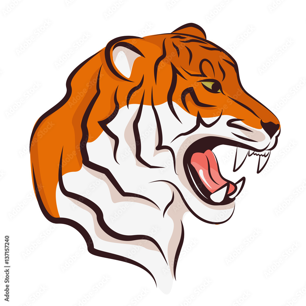 Angry tiger. Vector illustration isolated on white background. Stock ...