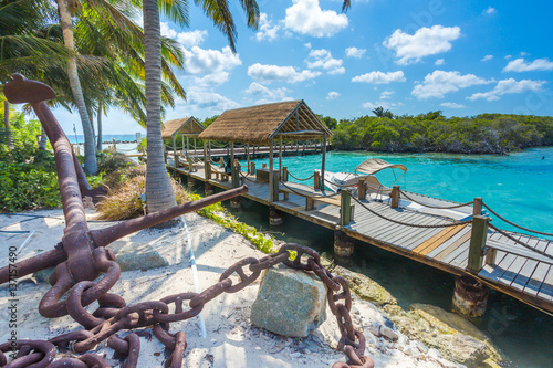 Fototapeta Naklejka Na Ścianę i Meble -  Flamingo beach at Aruba island