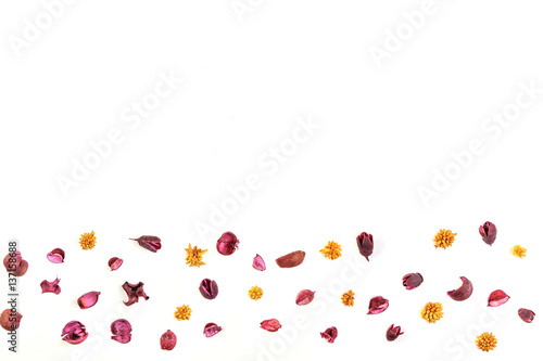 Dry flowers and leaves grame on white background