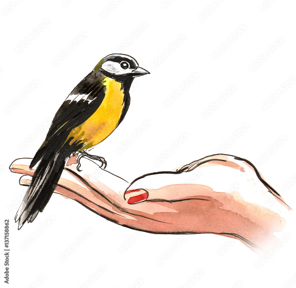 Obraz premium Feeding a bird