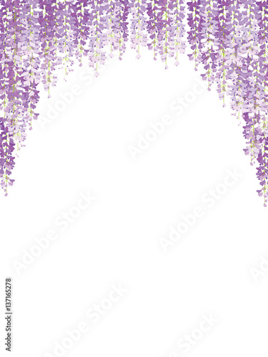 Fototapeta Naklejka Na Ścianę i Meble -  ふじのイラスト