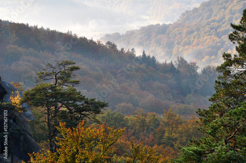 Autumn Landscape near Dovbush rocks in mountain Ukrainian Carpathians