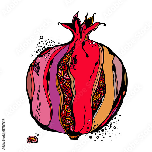 Stylized garnet or pomegranate. Vector