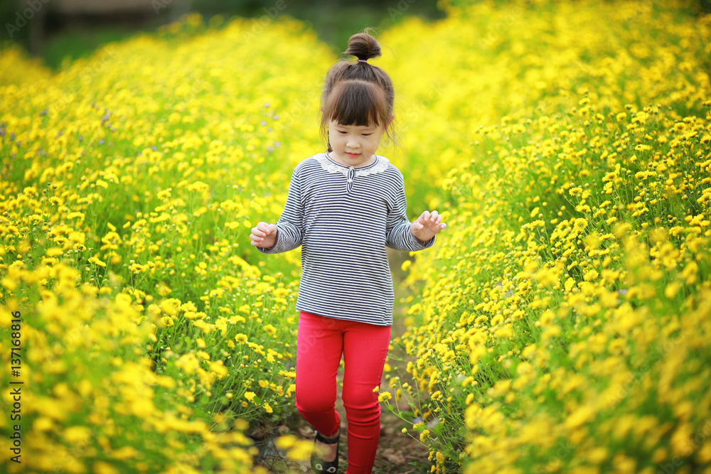 Little pretty girl walking in yellow flower field Little pretty girl walking in yellow flower field