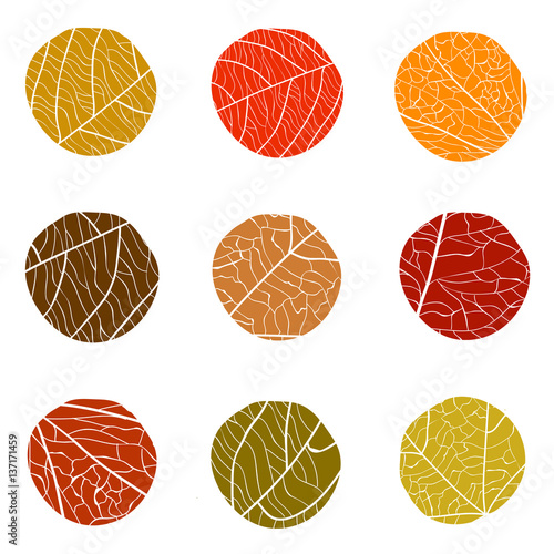 Autumnal vector pattern. Curve circles with white veins inside. The colors of autumn leaves on a white background: red, brown, beige. The concept for logo.
