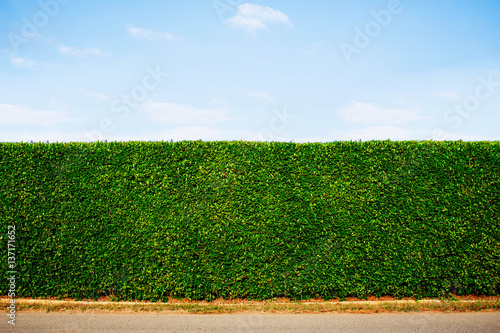 ornamental fence with blue sky.