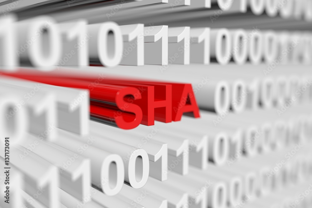 sha as a binary code with blurred background 3D illustration