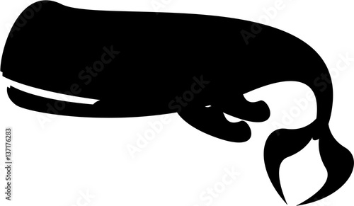 Sperm Whale in Silhouette
