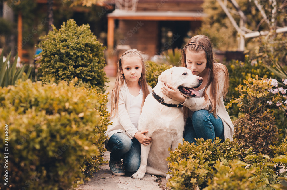 Fototapeta premium Cute children holding labrador retriever in park. Happiness.